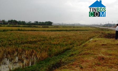 Hình ảnh Hạc Thành, Thanh Hóa