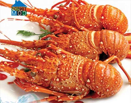 Hình ảnh Cam Hiệp, Khánh Hòa