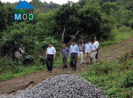 Hình ảnh Cát Hải, Hải Phòng