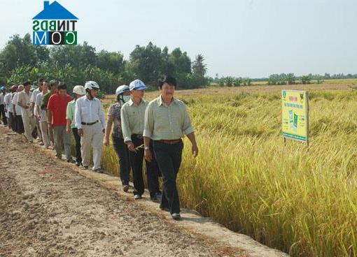 Hình ảnh Rạch Giá, An Giang