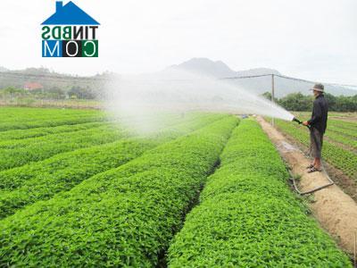 Hình ảnh Bắc Nha Trang, Khánh Hòa