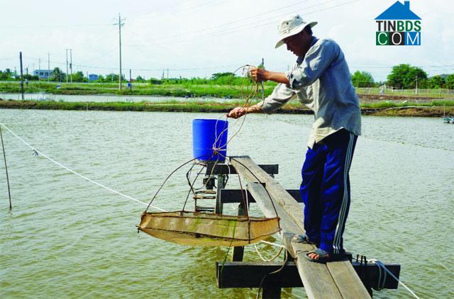 Hình ảnh Vĩnh Phước, Cần Thơ