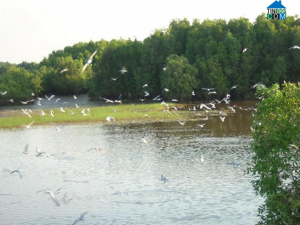 Hình ảnh Vĩnh Thuận Đông, Cần Thơ