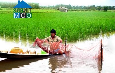 Hình ảnh Hoà Thành, Cà Mau