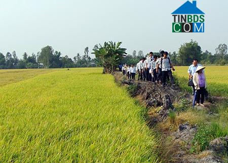 Hình ảnh Trường Long Tây, Cần Thơ