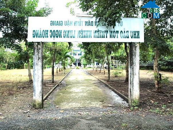 Hình ảnh Phương Bình, Cần Thơ