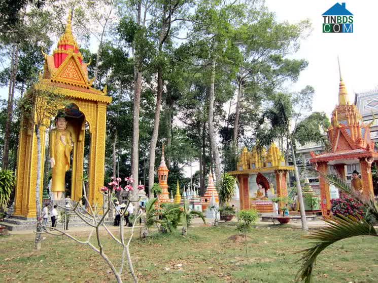 Hình ảnh Tài Văn, Cần Thơ