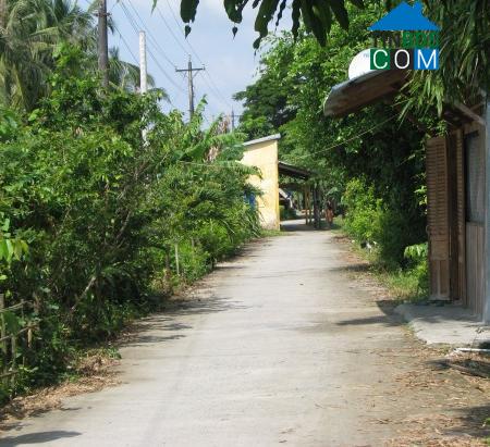 Hình ảnh Tân Hòa, Cần Thơ