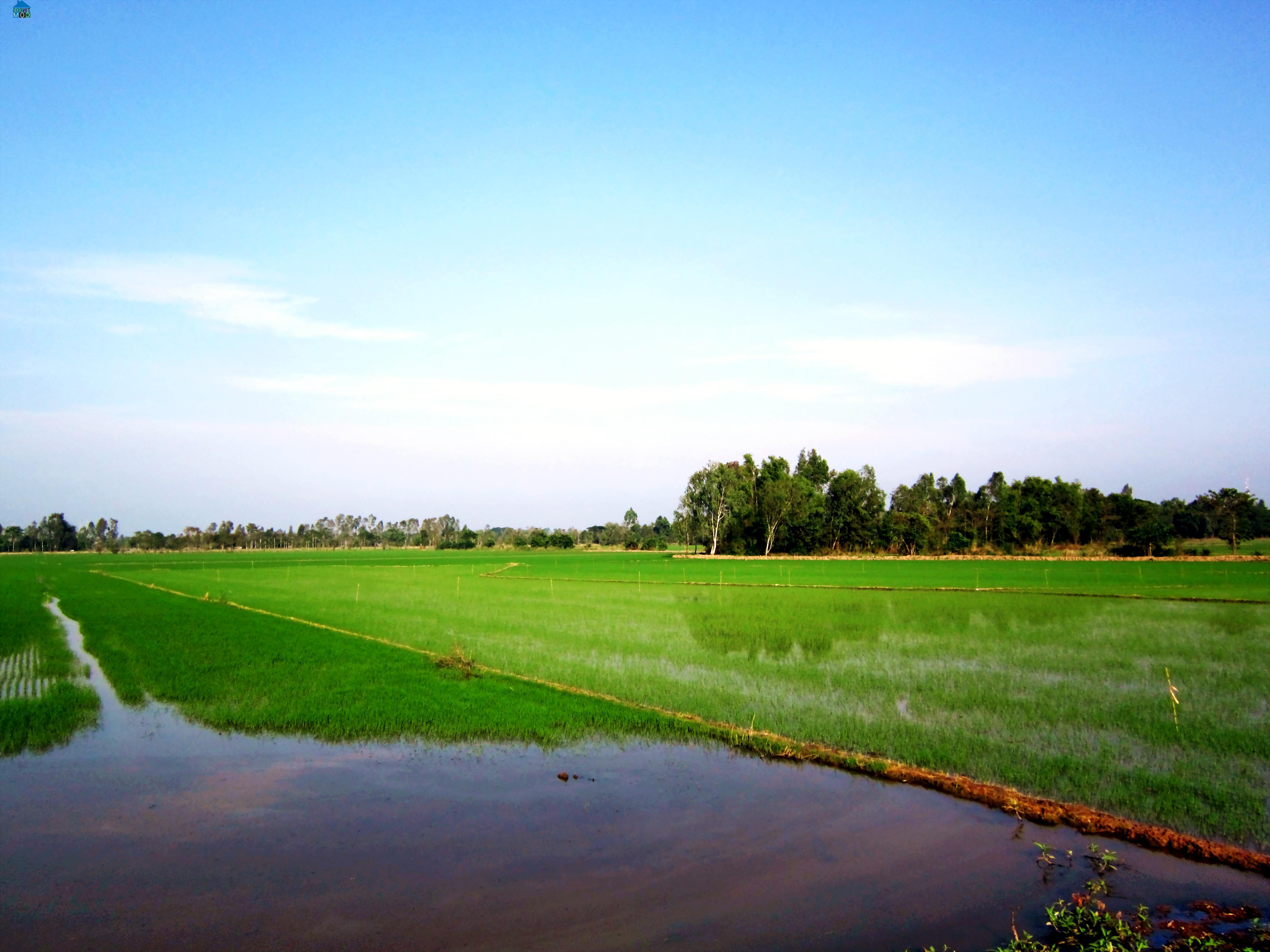 Hình ảnh Thạnh Quới, Cần Thơ