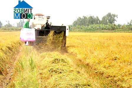 Hình ảnh Thới Long, Cần Thơ