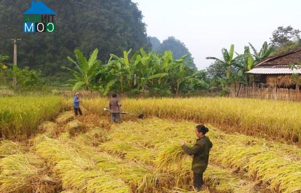 Hình ảnh Lũng Nặm, Cao Bằng