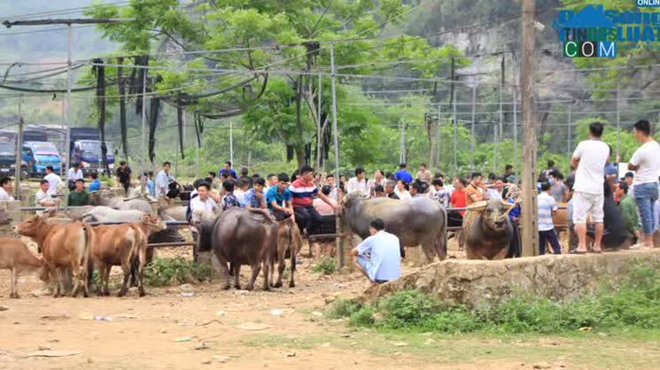 Hình ảnh Cần Yên, Cao Bằng