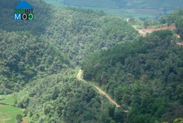 Hình ảnh Đàm Thủy, Cao Bằng