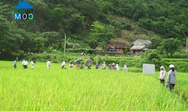 Hình ảnh Đông Khê, Cao Bằng