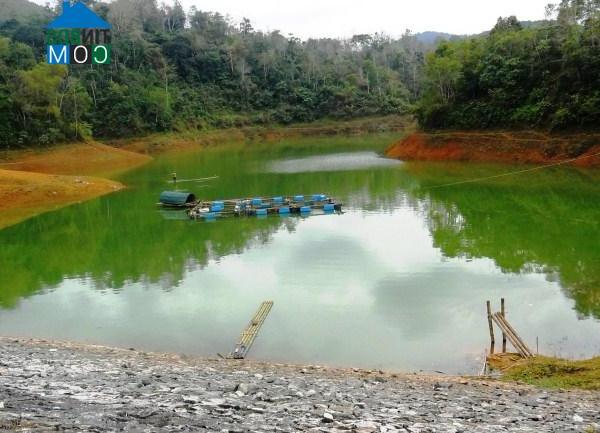 Hình ảnh Bạch Đằng, Cao Bằng