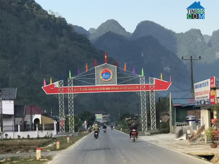 Hình ảnh Thông Nông, Cao Bằng