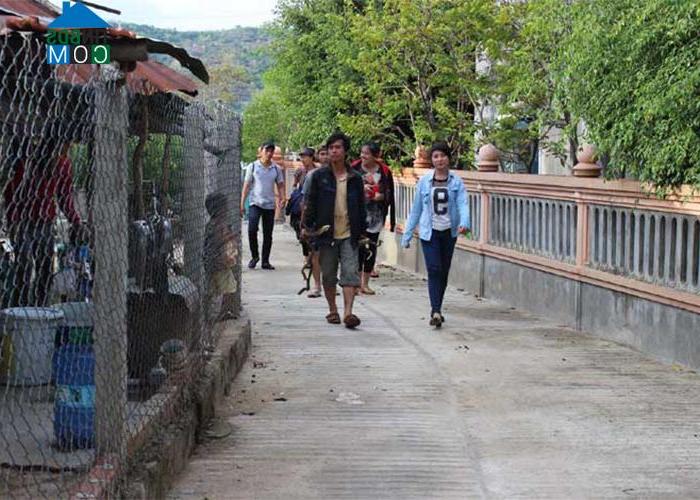 Hình ảnh Xuân Đài, Đắk Lắk