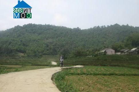 Hình ảnh Quang Hán, Cao Bằng