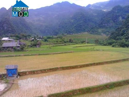 Hình ảnh Phan Thanh, Cao Bằng