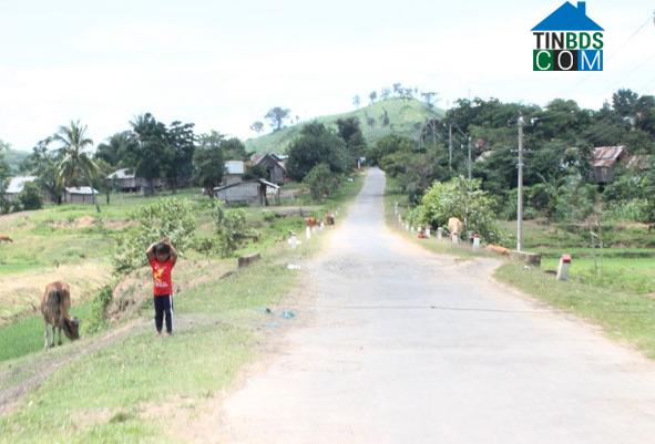 Hình ảnh Yang Mao, Đắk Lắk