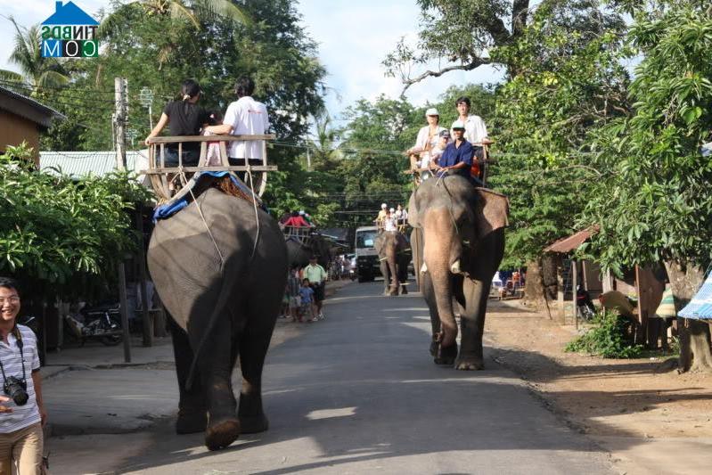 Hình ảnh Buôn Đôn, Đắk Lắk