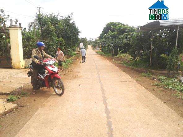 Hình ảnh Ea M’Droh, Đắk Lắk