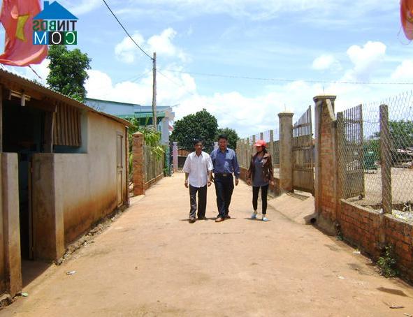 Hình ảnh Cư Pơng, Đắk Lắk