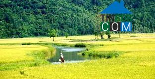 Hình ảnh Đông Hòa, Đắk Lắk