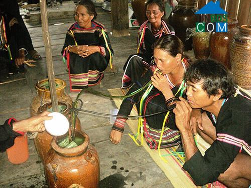 Hình ảnh Suối Trai, Đắk Lắk