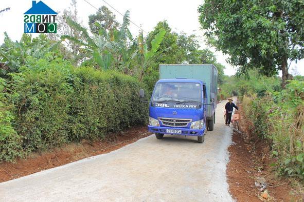 Hình ảnh Tân An, Đắk Lắk