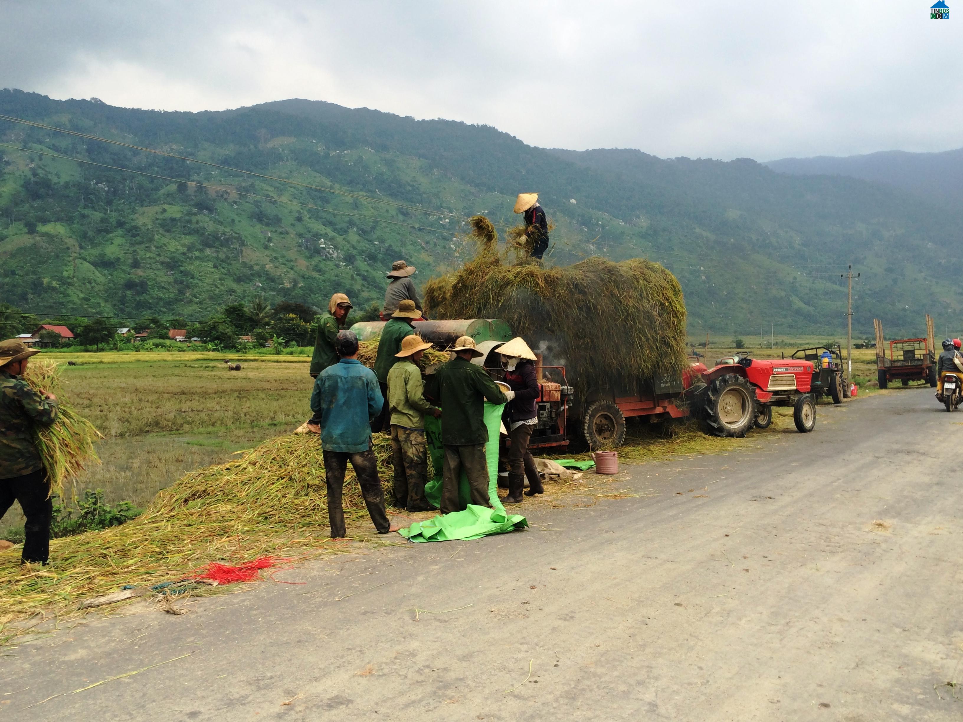 Hình ảnh Hòa Sơn, Đắk Lắk