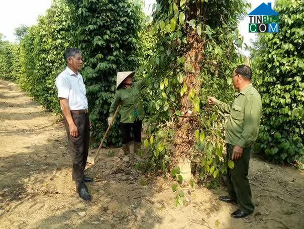 Hình ảnh M’Drắk, Đắk Lắk