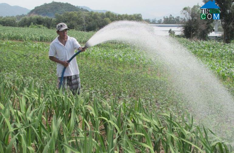 Hình ảnh Phú Hòa 2, Đắk Lắk