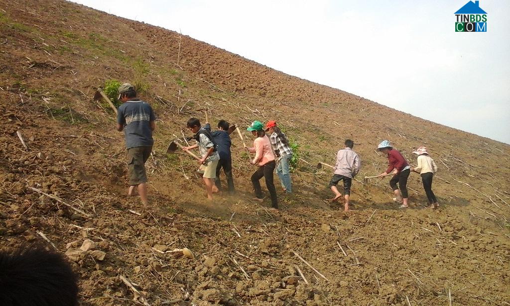 Hình ảnh Mường Luân, Điện Biên