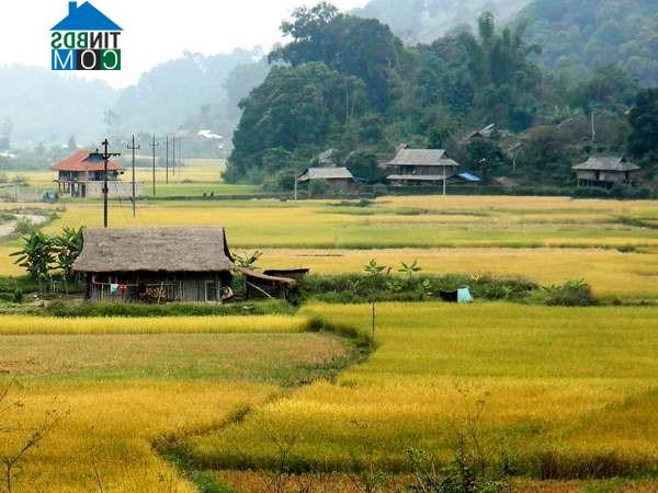 Hình ảnh Mường Thanh, Điện Biên