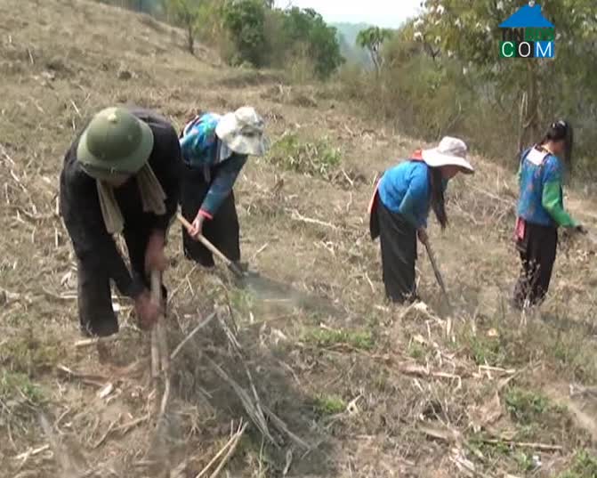 Hình ảnh Xa Dung, Điện Biên