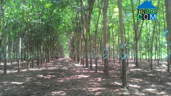 Hình ảnh An Lộc, Đồng Nai