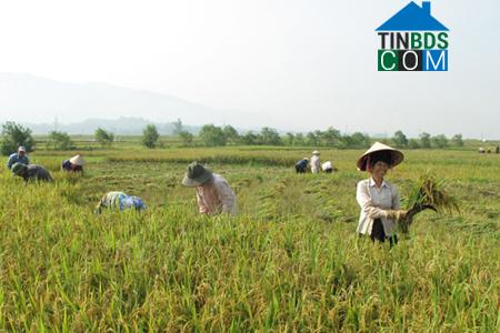 Hình ảnh Núa Ngam, Điện Biên