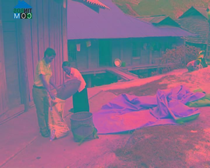 Hình ảnh Pa Ham, Điện Biên