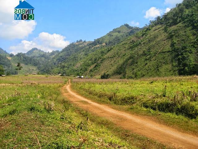 Hình ảnh Pú Nhung, Điện Biên