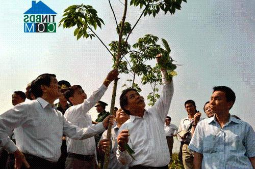 Hình ảnh Si Pa Phìn, Điện Biên