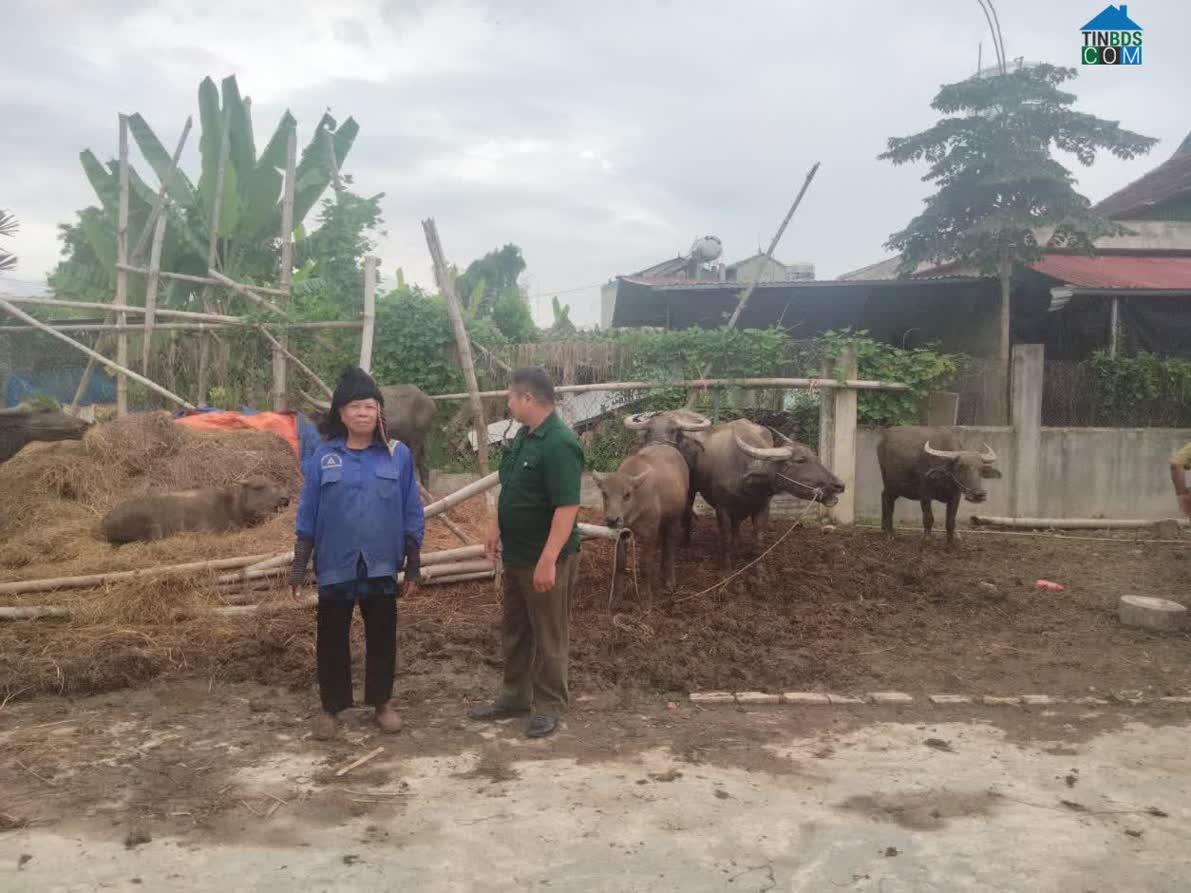 Hình ảnh Thanh Nưa, Điện Biên