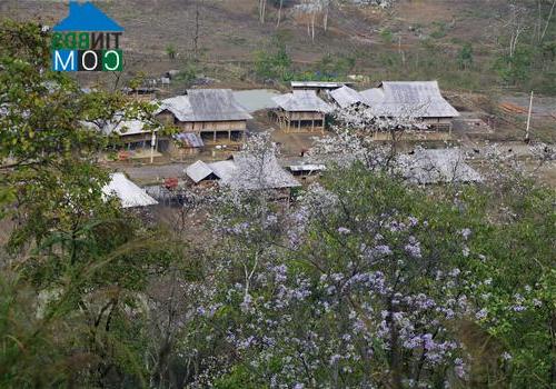 Hình ảnh Tủa Thàng, Điện Biên