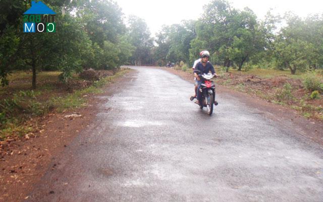 Hình ảnh Đồng Tâm, Đồng Nai