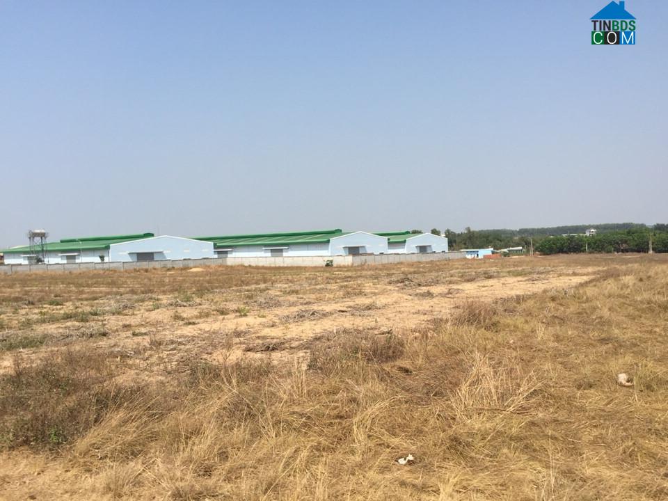 Hình ảnh Bắc Tân Uyên, Hồ Chí Minh