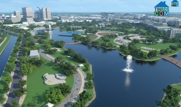 Hình ảnh Bình Mỹ, Hồ Chí Minh