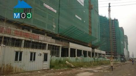 Hình ảnh Bình Khánh, Hồ Chí Minh