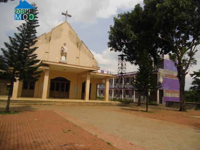 Hình ảnh Châu Đức, Hồ Chí Minh