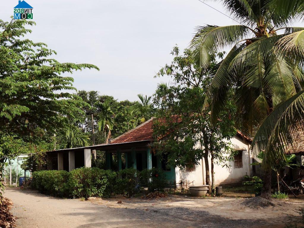 Hình ảnh Đông Thạnh, Hồ Chí Minh