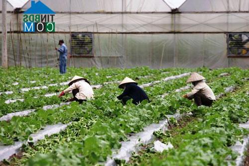 Hình ảnh Phước Thành, Hồ Chí Minh